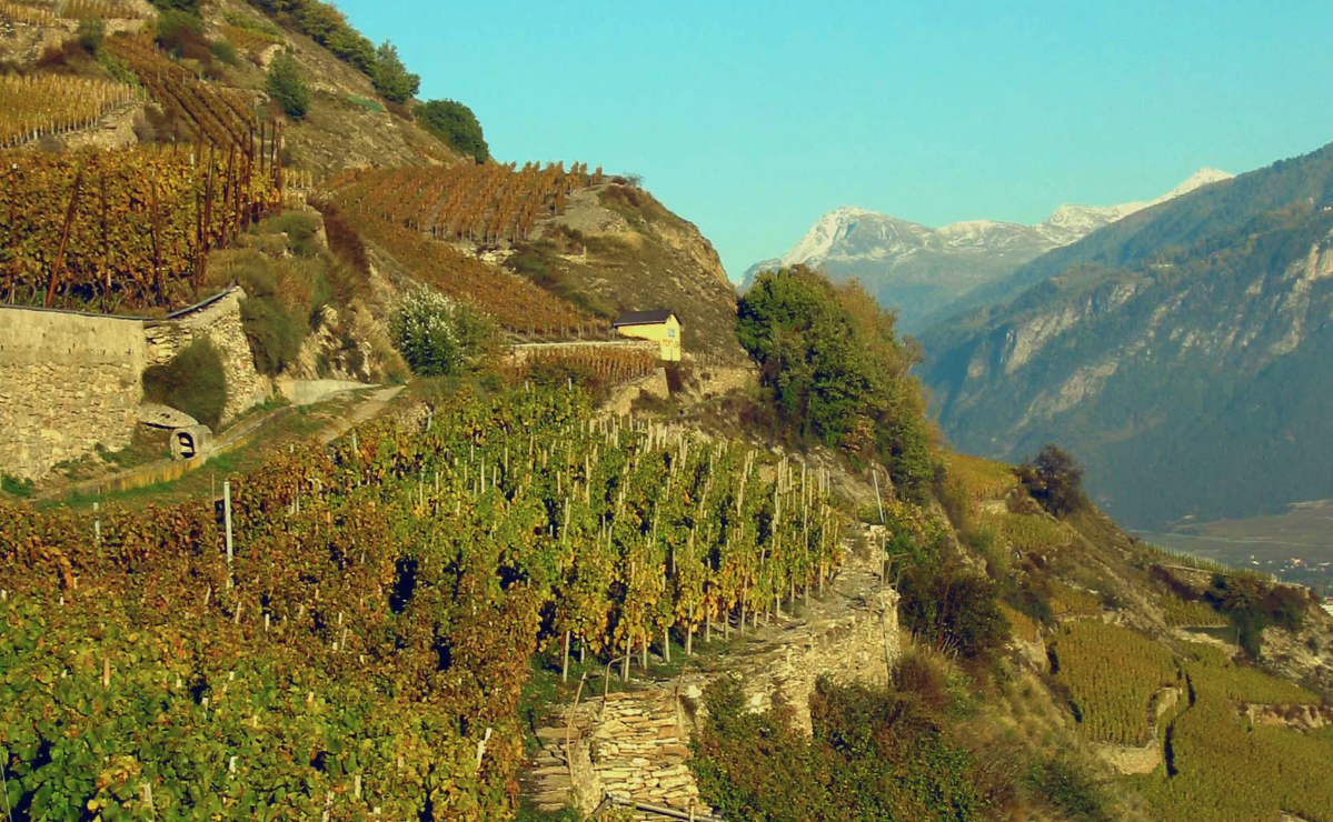 Bisse de Lentine et Mont d Orge